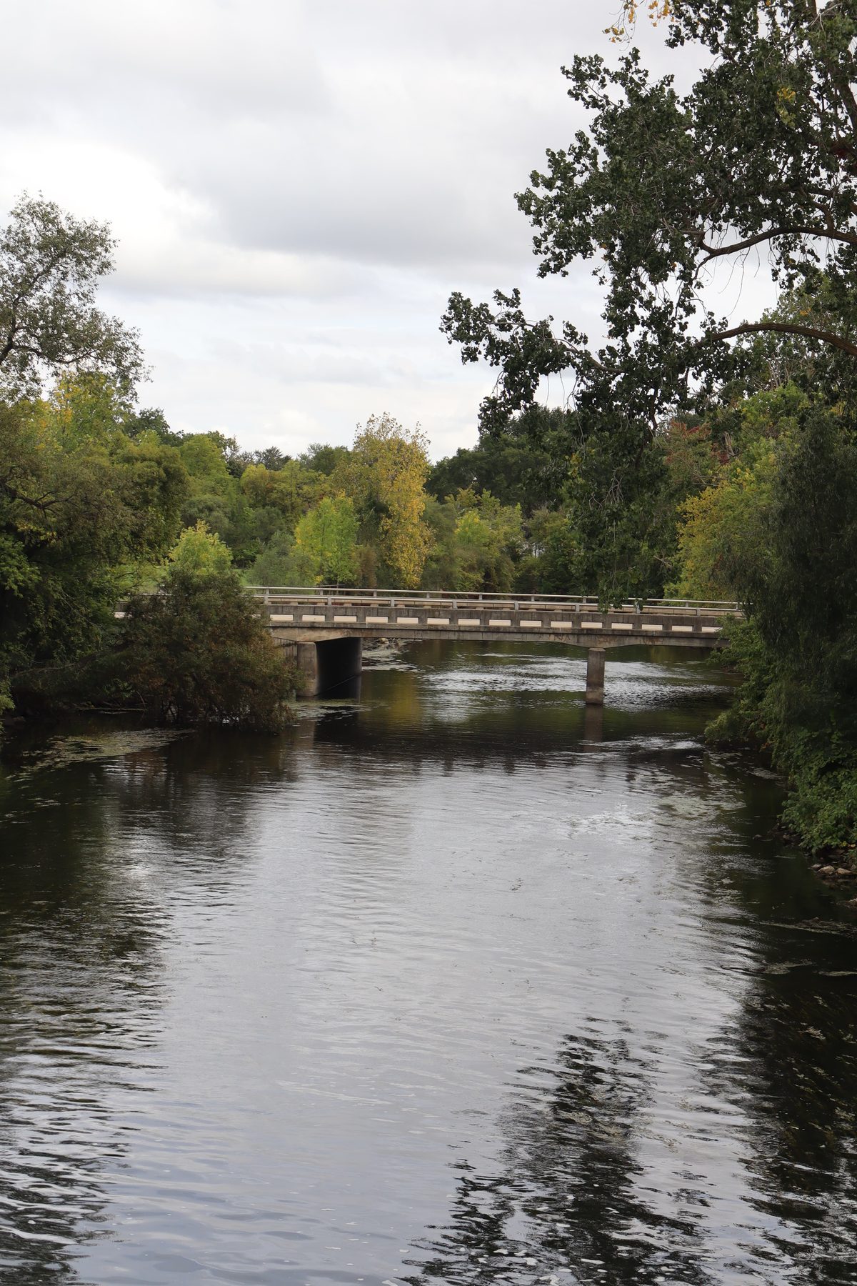 A river under a grey sky, a road bridge crossing it